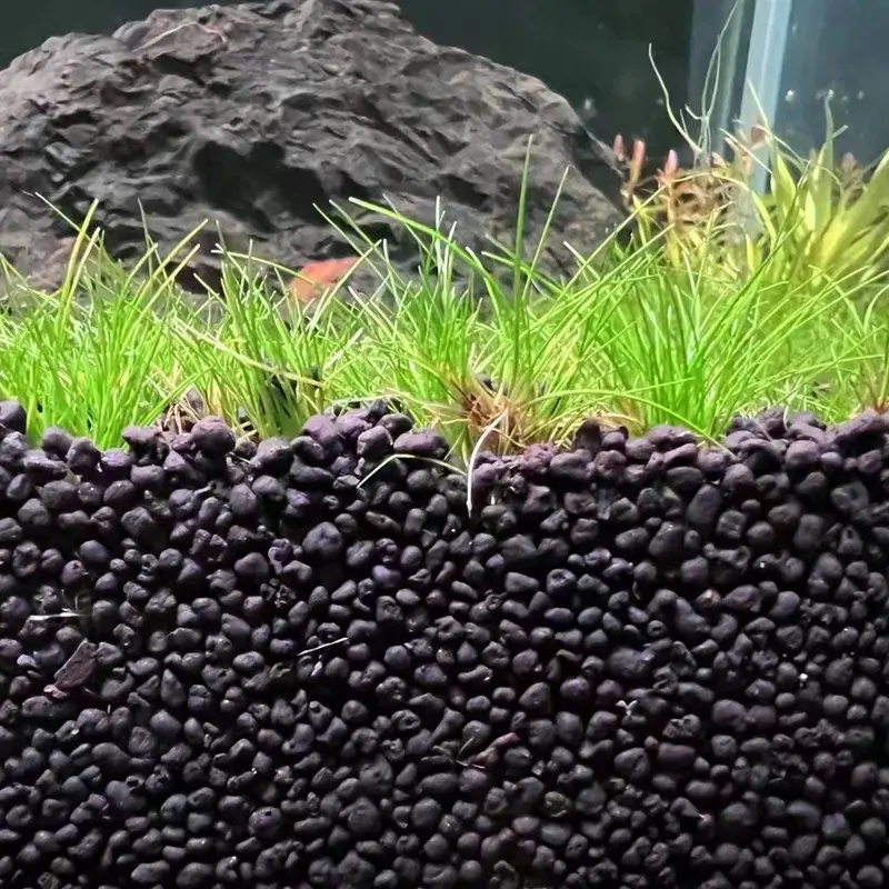 Substrate